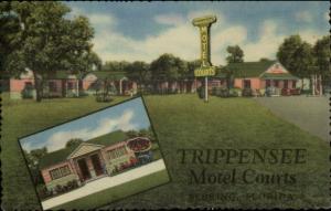 Sebring FL Trippensee Motel Courts Linen Postcard