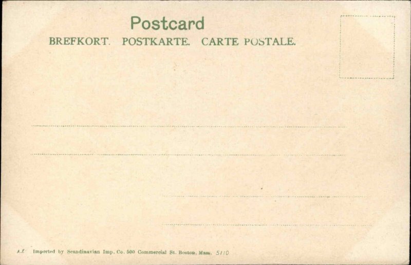 NAMSOS NORWAY Harbor Harbour Panoramic View Antique Postcard