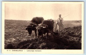 CASABLANCA Labourage marocain ox plowing MOROCCO Postcard