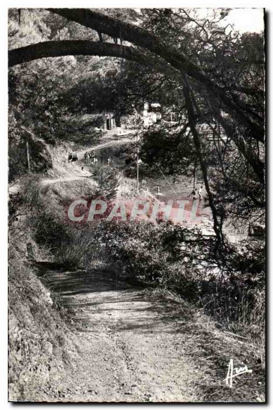 Old Postcard French Riviera Toulon Cap Brun Path customs