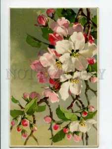 3119305 APPLE FLOWERS by C. KLEIN vintage M.& L. #137 PC