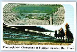 1960 Hallandale Florida Postcard Gulfstream Derby Park Handicap Thoroughbred
