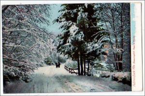 NY - Adirondacks, Bloomingdale Road in Winter