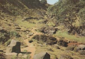 Charlotte Bronte The Valley Of The Falls Seat Yorkshire Moors Haworth Postcard