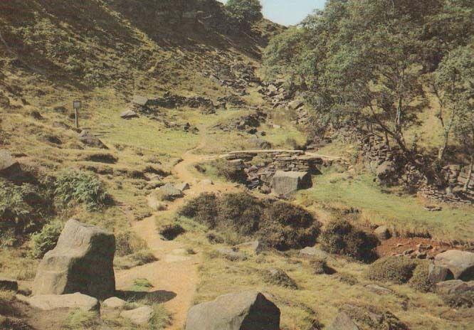 Charlotte Bronte The Valley Of The Falls Seat Yorkshire Moors Haworth Postcard