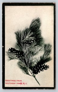 Greetings from Southern Pines NC Pine Cone Branch Vintage Postcard