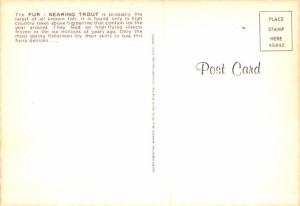 Fur Bearing Trout - 