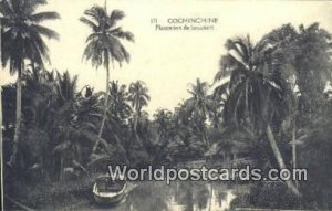 Plantation de'Cocotiers Cochinchine Vietnam, Viet Nam Unused 
