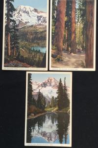 Postcard (3) Unused Rainier National Park LB