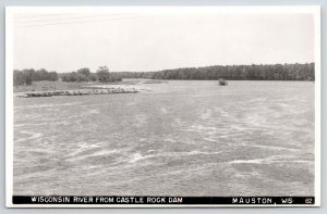 Mauston Wisconsin River~Tiny Island Trees~View From Castle Rock Dam RPPC 1940s 