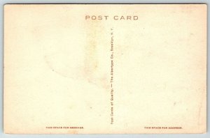 Hand Colored  Manchester  Vermont  Mount Eolus   Postcard