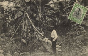 Costa Rica, C.A., Harvesting Bananas (1910s) Postcard