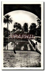 Postcard Modern Sevilla Reales Alcazares Estanque From D Pedro Alcazar Royal ...