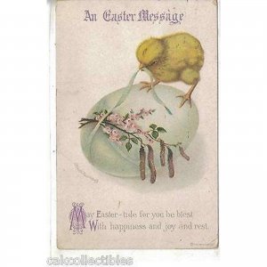 An Easter Message-Chick on Egg -Clappsaddle