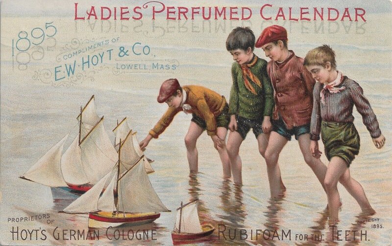 E.W. Hoyt & Co, Lowell, Ma Hoyt's German Cologne Advertising Card (49391)