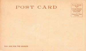 Boardwalk, Atlantic City, N.J., 1902  Postcard, Unused, Detroit Photographic Co 