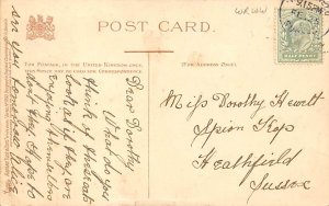 Raphael Tuck & Sons Serie Artist Louis Wain postal used unknown 