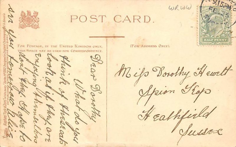 Raphael Tuck & Sons Serie Artist Louis Wain postal used unknown 