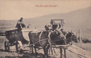 The New and The Old Car and Ox Cart