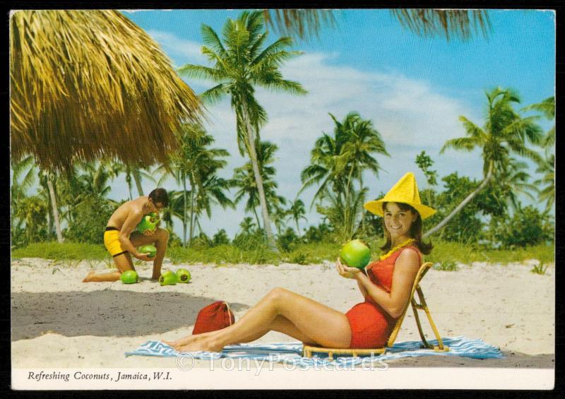 Refreshing Coconuts, Jamaica, W. I.