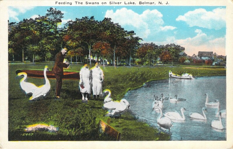 Feeding the Swans on Silver Lake Belmar NJ White Border Unused Postcard