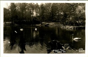 RPPC Swans on Pond Wright Park Tacoma WA Washington UNP Postcard T15