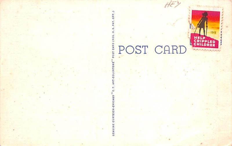 Curt Teich & Co., Inc Bear stamp on back, Unused crease left edge