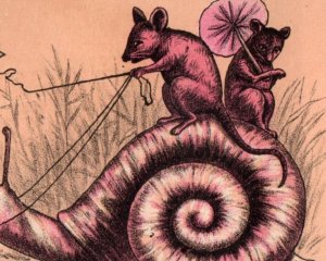 1880s IXL Liniment O.W. Kimball & Co. Rat Couple Riding Giant Snail F197