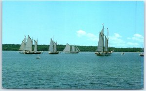 Charter schooners from Camden mustering in Eggemoggin Reach - West Brooklin, ME