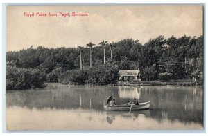 c1910 Boat Canoeing Royal Palms from Paget Bermuda Antique Unposted Postcard