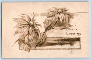 Litchfield ND Postcard New Year Greetings Poinsettia Flowers RPO 1911 Antique