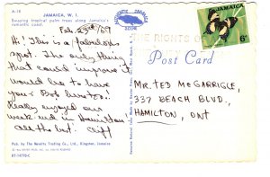 Swaying Tropical Palm Trees, Jamaica, Used 1969