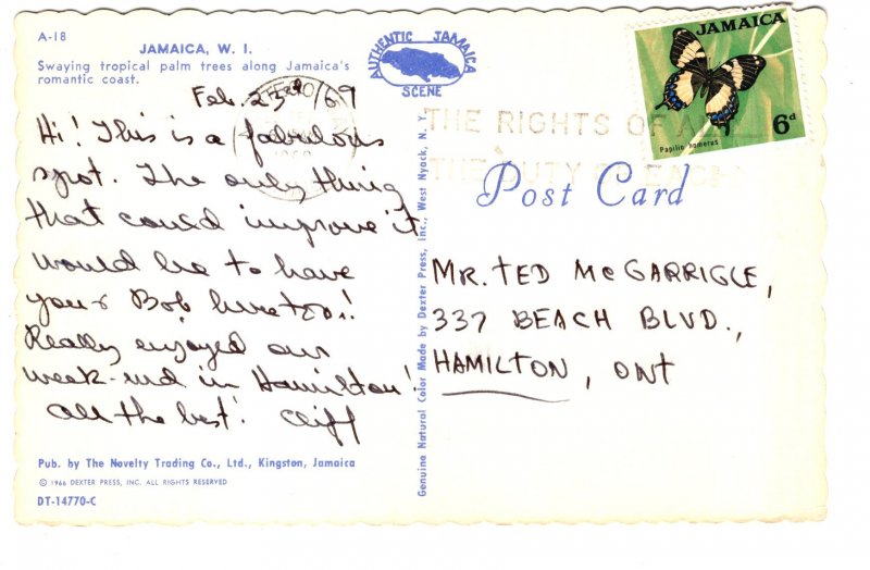 Swaying Tropical Palm Trees, Jamaica, Used 1969