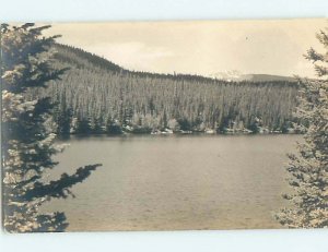 Pre-1949 rppc TREES ALONG SHORELINE Marked Bar Harbor Maine ME HM3325
