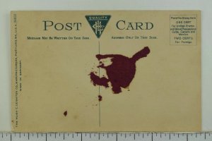 C.1910 Matteawan, N. Y. Fishkill Creek, from Bridge #2 Vintage Postcard P53