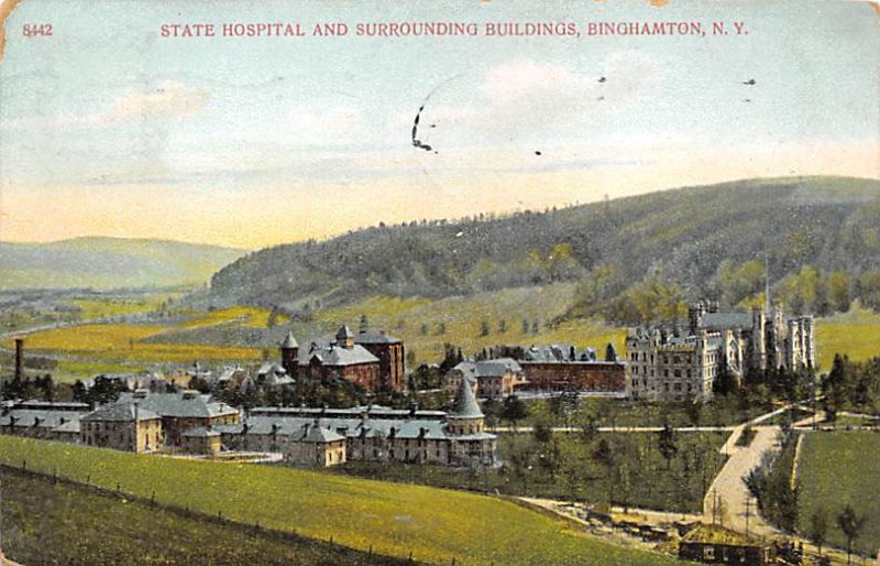 State Hospital and Surrounding Buildings Binghamton, New York, USA 1908 