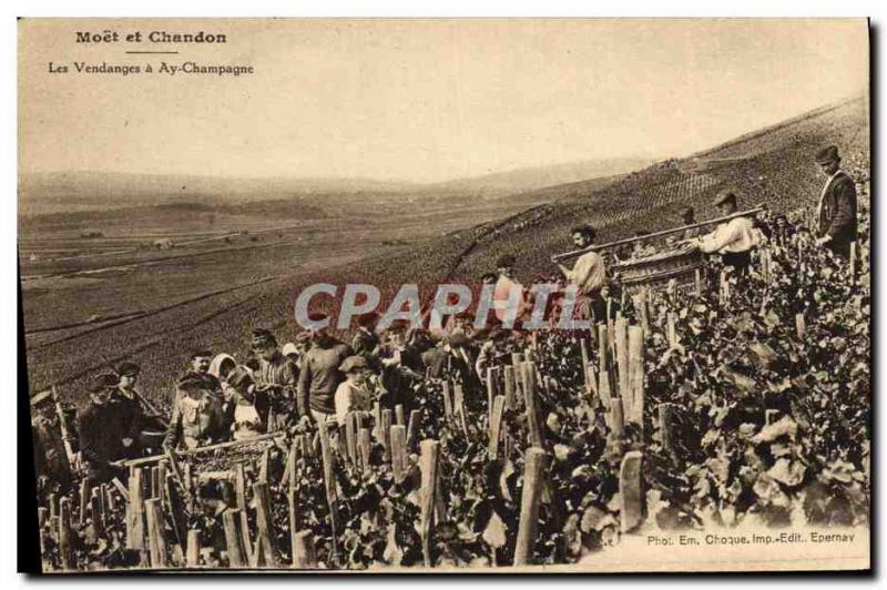 Old Postcard Folklore Wine Vineyards Champagne Moet et Chandon Champagne Harv...