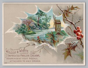 Wilcox White Parlor Organs, Burlington NJ Windmill River Victorian Trade Card T2