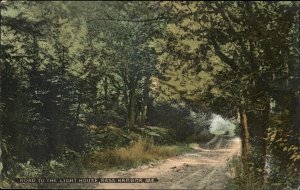 Bass Harbor Maine ME Road to Lighthouse Mailed to Surry c1910 Vintage Postcard