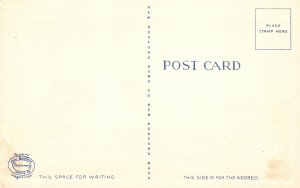 Vintage Postcard 1920's Nobska Light Woods Hole Tower Lighthouse Cape Cod Mass.