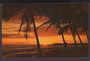 Hawaii Sunset at Kona - the realm golden sun setting across Kailua Bay - Chrome