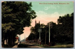 Postcard Brampton Ontario c1910 Main Street Looking North Peel Region