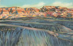 Postcard Painted Desert and Blue Forest Arizona