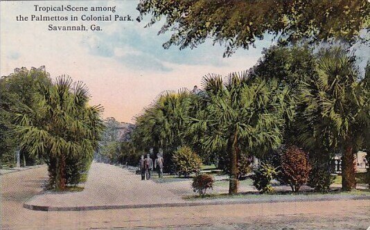 Tropical Scene Among The Palmettos In Colonial Park Savannah Georgia