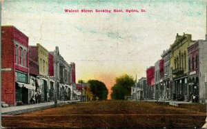 Walnut Street Looking East Ogden Iowa IA  1909 DB Postcard D11