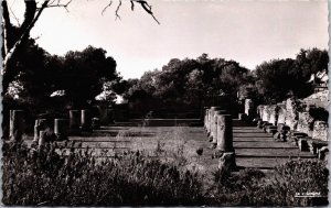 Algeria Tipasa Ruines Romaines La Basilique Judiciaire Vintage RPPC C156