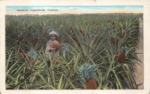 GROWING PINEAPPLES IN FLORIDA BLACK AMERICANA POSTCARD (1950s)