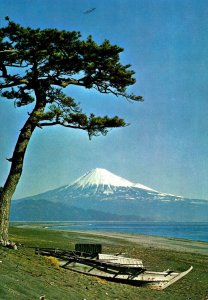 Japan Mt Fuji In Early Summer