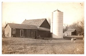 RPPC Country Farm Scene, Holstein Cows, Old Car in Background