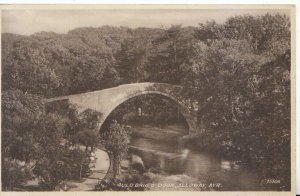 Scotland Postcard - Auld Brig O' Doon - Alloway - Ayrshire - Ref 21128A